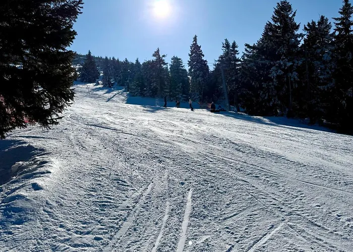 Szept Potoku Apartment *