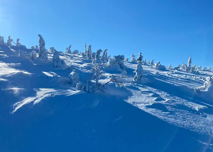 Szept Potoku Apartment *