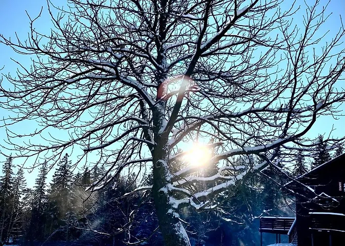 Szept Potoku Apartment