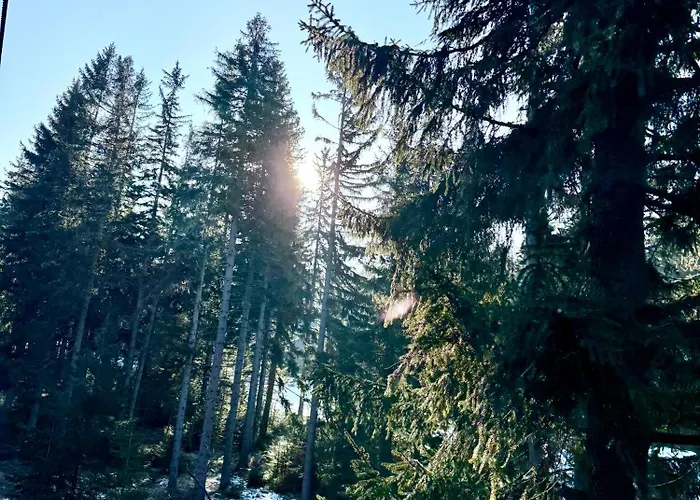 Szept Potoku דירה *