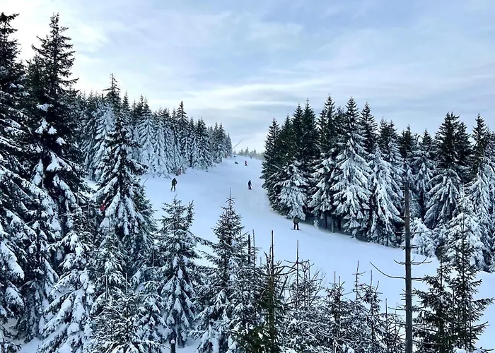 דירה Szept Potoku שצ'קלארסקה פוראובה